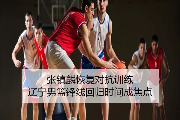 张镇麟恢复对抗训练 辽宁男篮锋线回归时间成焦点