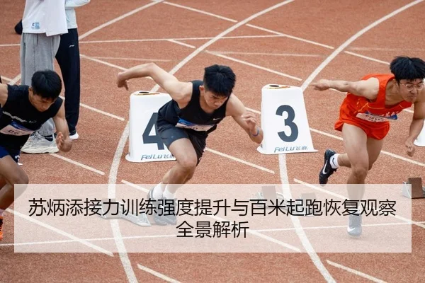 苏炳添接力训练强度提升与百米起跑恢复观察全景解析